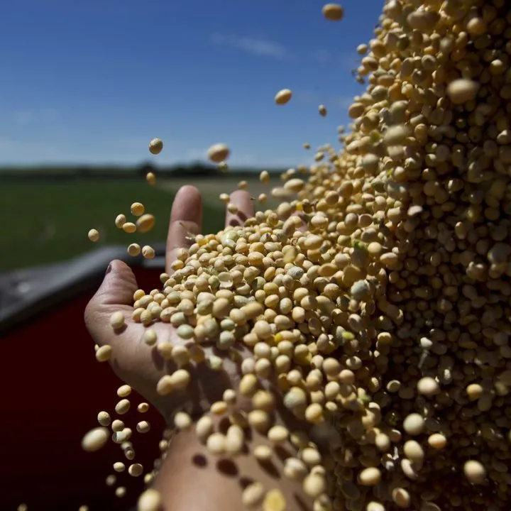 Juros a 15% e “abusozinho”: Haddad aponta culpados para crise de recuperação judicial