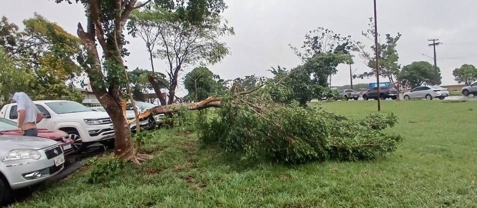 Vendaval provoca destruição em Vilhena e força desvio de voo da Azul para Cacoal, RO