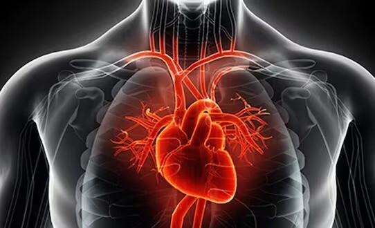 Cansaço, palpitações e tontura podem indicar arritmia, diz especialista