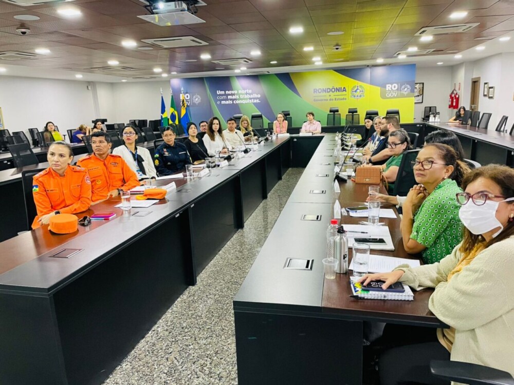 Diagnóstico da Primeira Infância é apresentado durante reunião do Comitê Estadual Intersetorial de Políticas Públicas