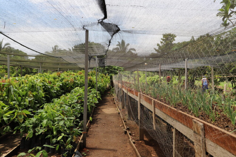 Ações do Plano Pena Justa são ampliadas com visita técnica a projeto de reintegração social