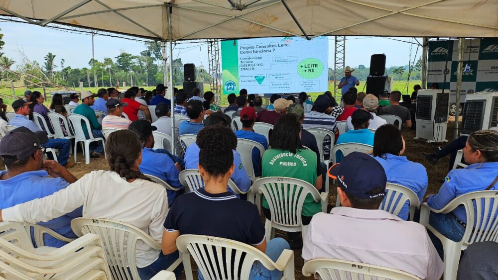 Produtores de Ariquemes batem recorde de produção leiteira com incentivo do governo de RO e ações do Consultec