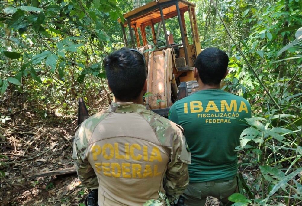 PF deflagra operação contra extração ilegal de madeira