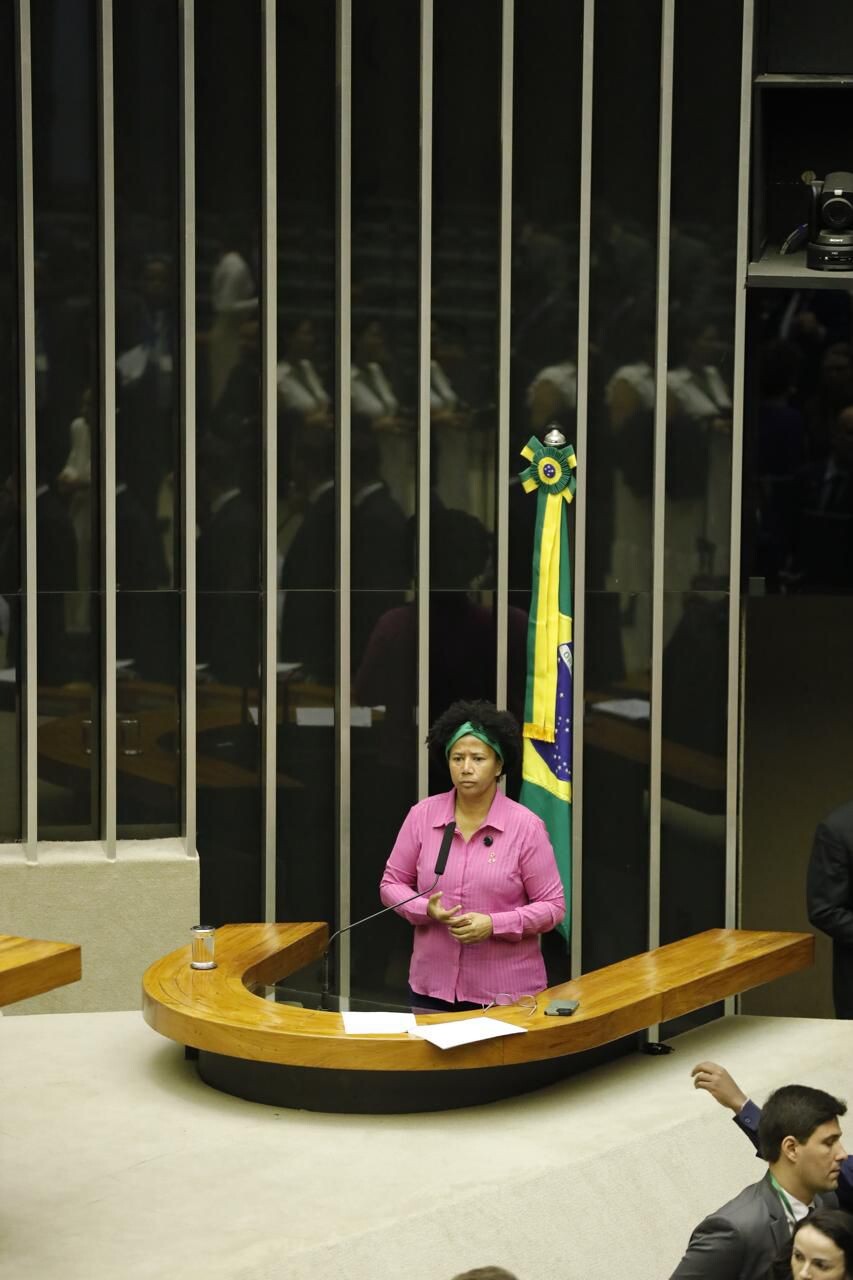 Deputada Sílvia Cristina critica queima de casas e currais e retirada de produtores de suas terras documentadas