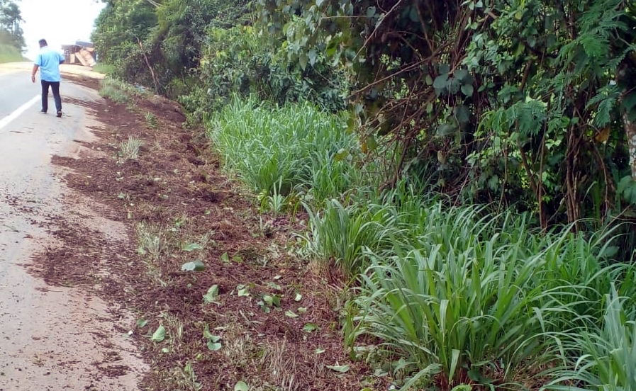 Acidente com carreta é registrado na BR-364, próximo ao Frigon