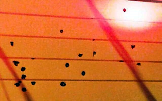 Casa de médico em Ouro Preto, tem portão alvejado a tiros; ao menos 18 perfurações