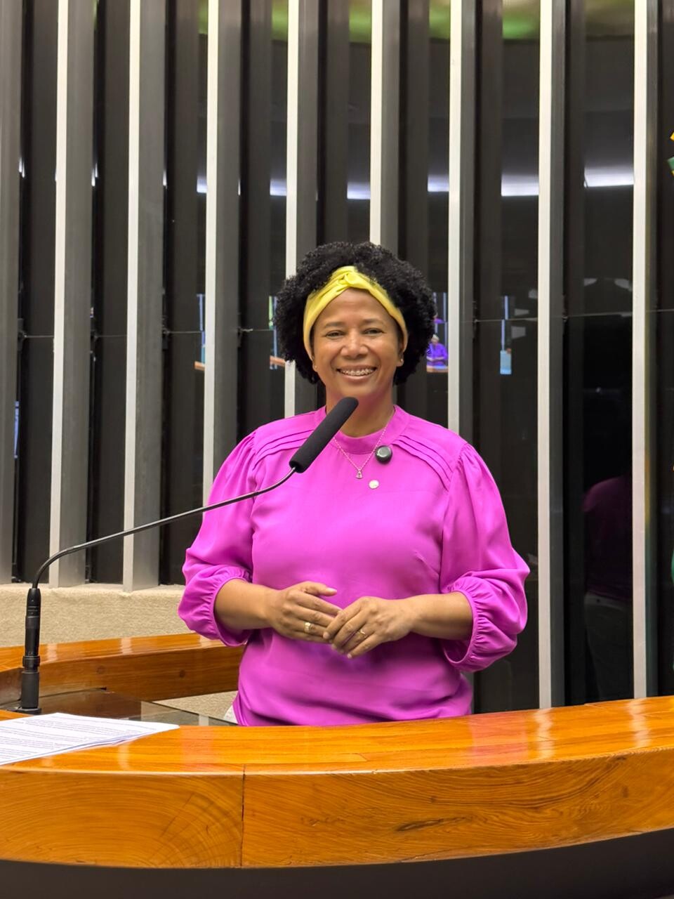 Sílvia Cristina destaca aprovação da PEC 169, que permite acumular cargo de professor com outra função