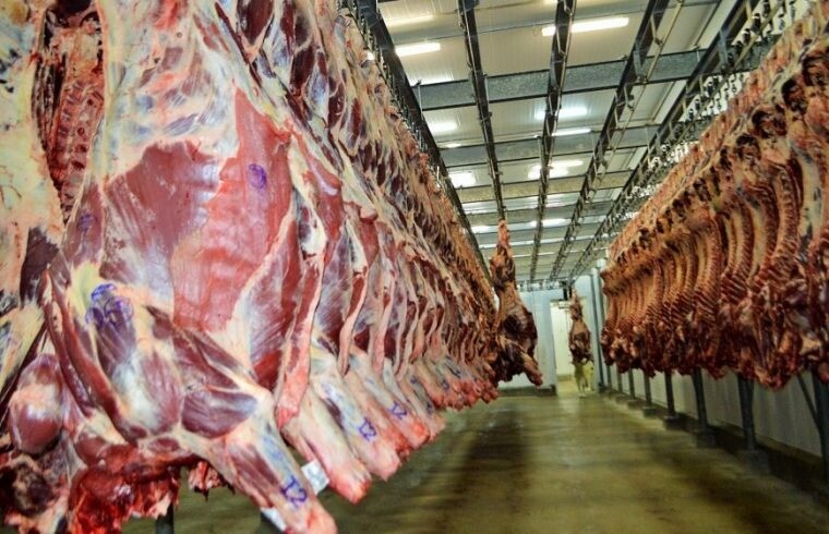 Exportação de carne de Rondônia ganha novo impulso com avanços diplomáticos e sanitários