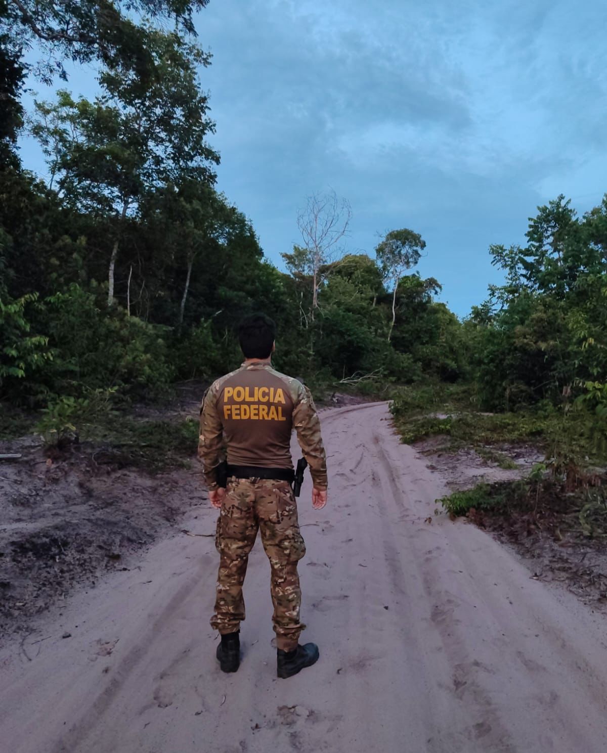 PF realiza operação de desintrusão contra garimpo ilegal na Terra Indígena Tubarão Latundê