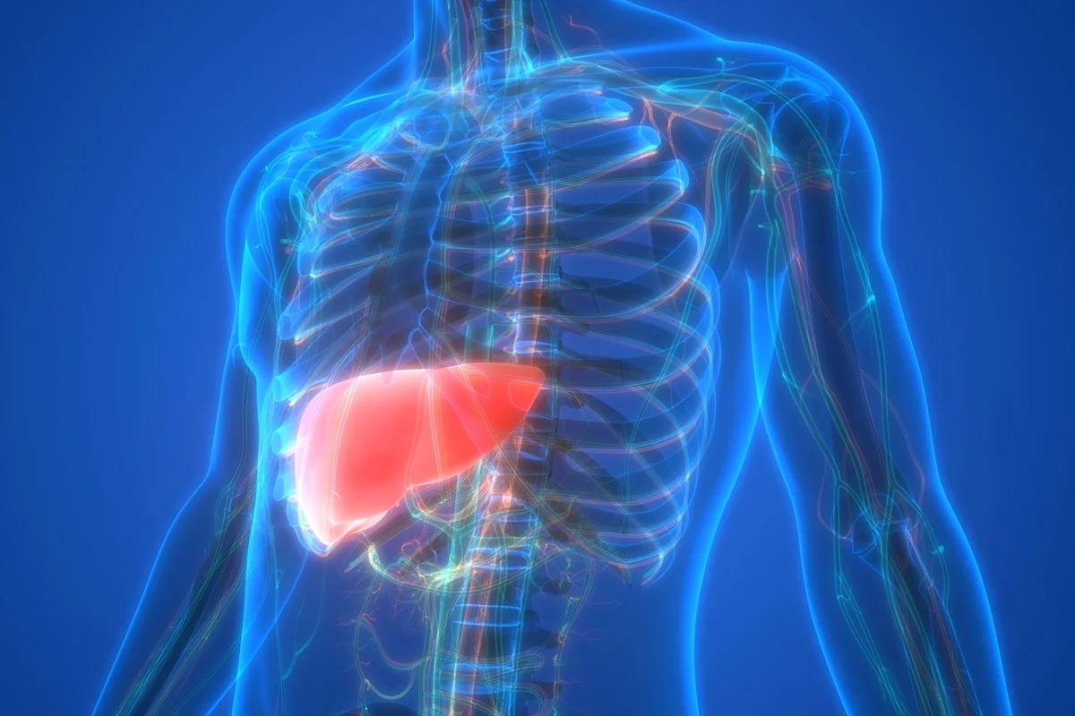 Gordura no fígado: saiba o que comer para ajudar a reverter o quadro