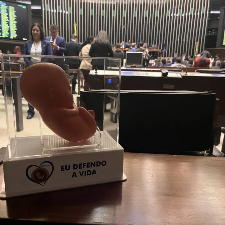 A Câmara derrota o abortismo do Conanda