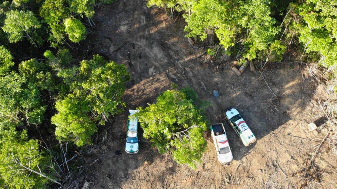 Rondônia registra 19 prisões e apreensão de madeira, tratores e motosserras na segunda fase da Protetor dos Biomas