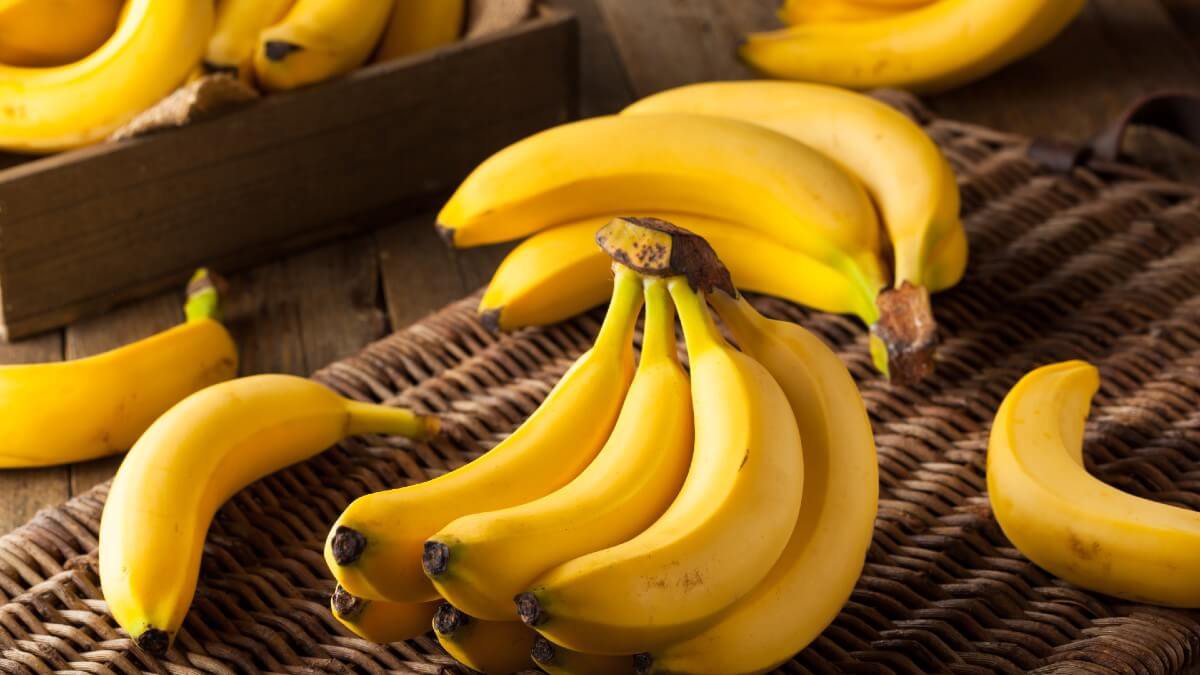 Banana todo dia! Amido presente na fruta pode diminuir risco de doença