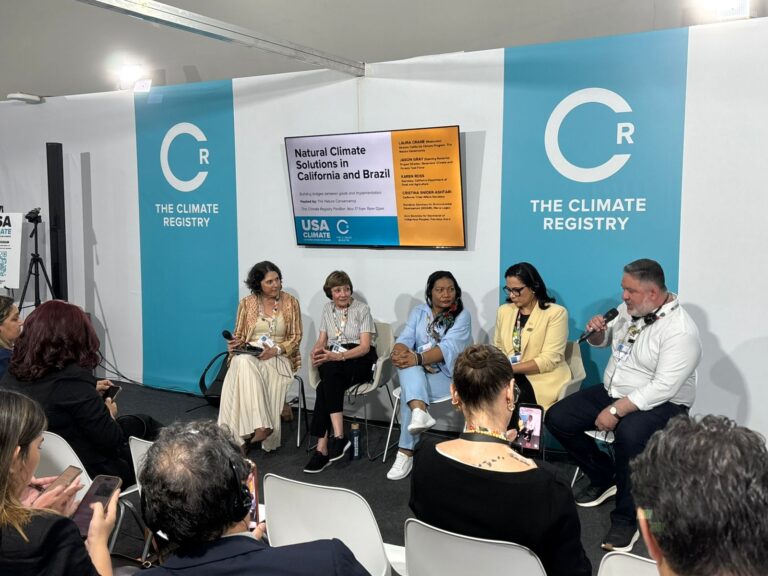 Rondônia integra debate internacional sobre ações baseadas na natureza durante painel na COP 30