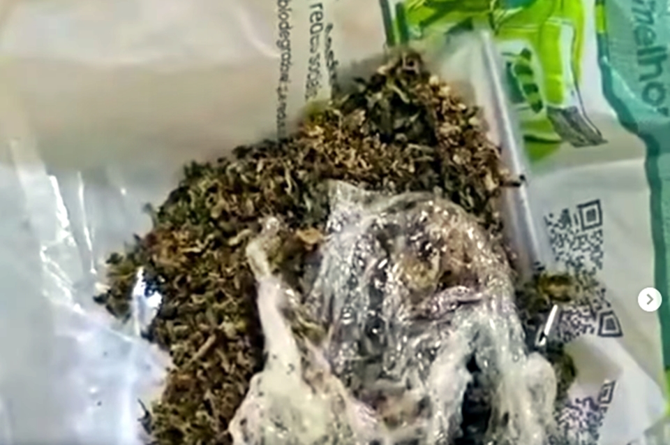 Polícia Civil cumpre mandados, apreende drogas, celulares e materiais de preparo em operação em Guajará-Mirim