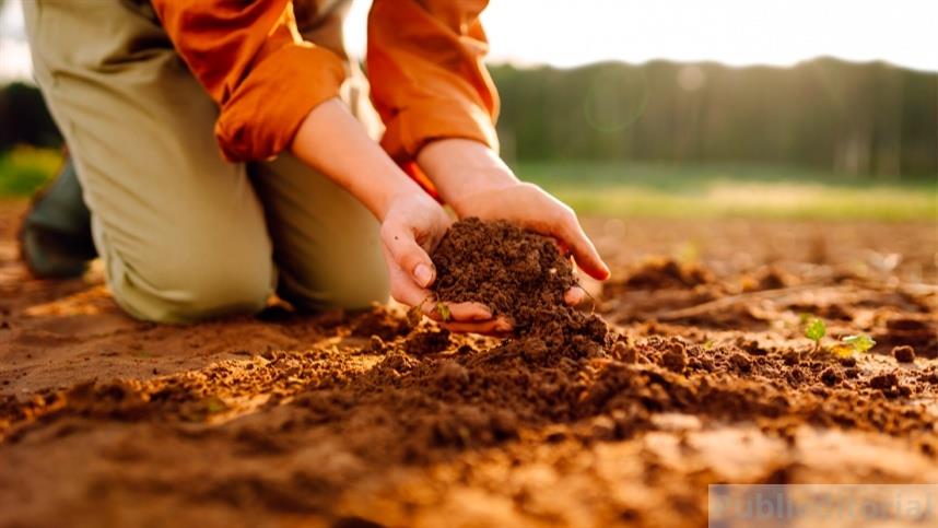 Análise biológica do solo impulsiona produtividade e sustentabilidade das lavouras