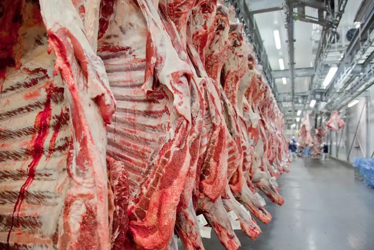 Exportações de carne bovina aceleram na terceira semana e supera todo o volume de novembro de 2024