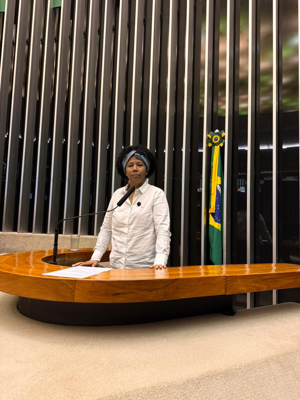 Deputada Sílvia Cristina cobra mais uma vez a votação da PEC 47 da transposição