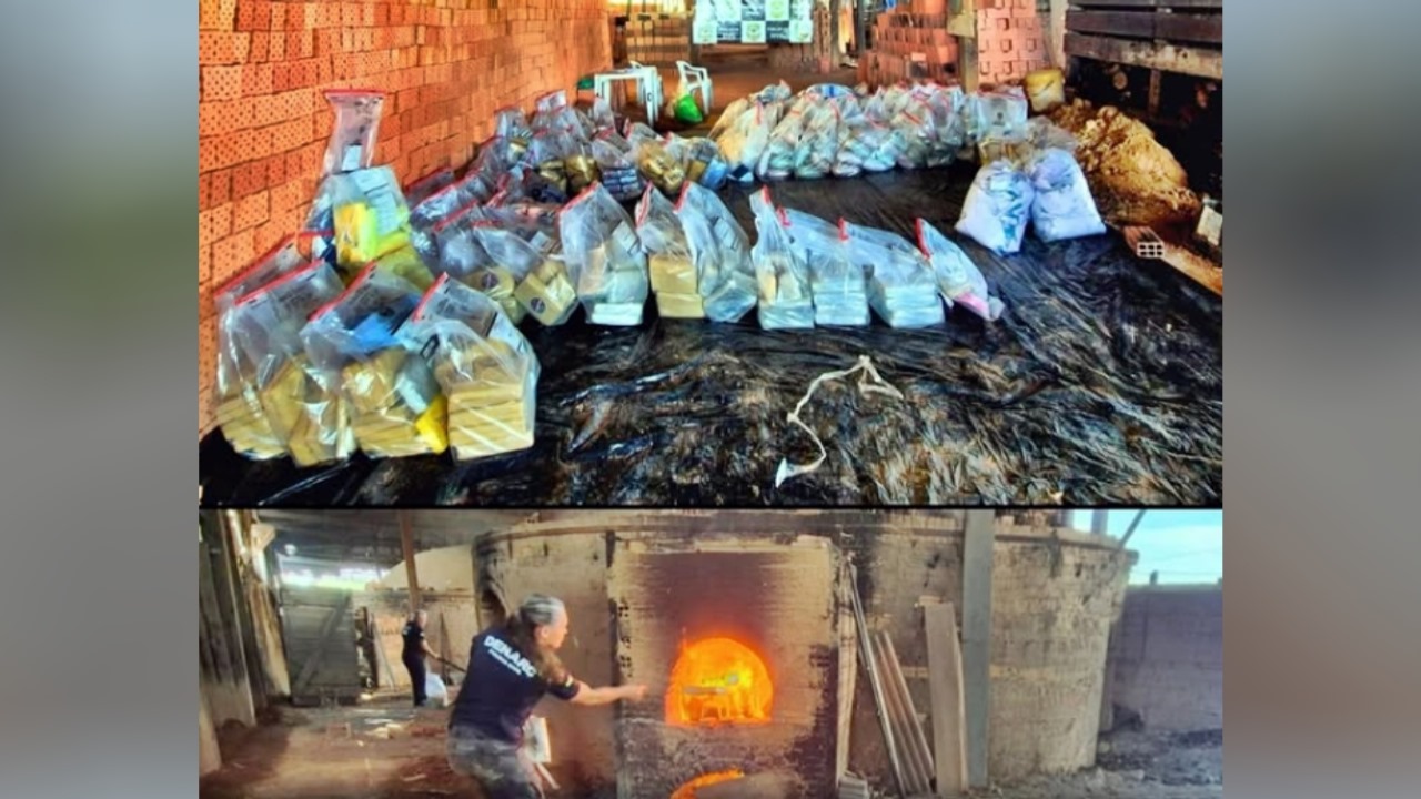 Polícia Civil incinera quase uma tonelada de drogas apreendidas em operações em Rondônia