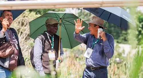 Agro teve protagonismo inédito na COP, diz Ana Toni