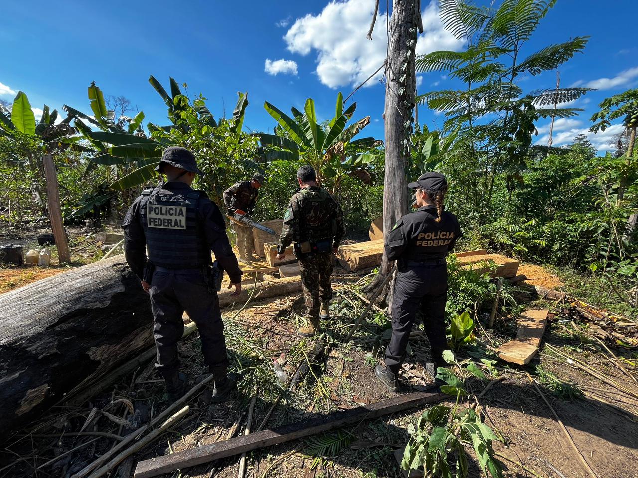 PF deflagra operação contra grilagem e incêndio criminoso em terra indígena em Rondônia
