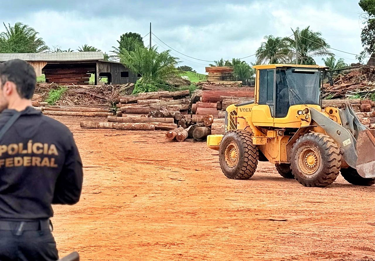 Fiscalização integrada apreende madeira irregular em Espigão do Oeste e interdita madeireiras da região
