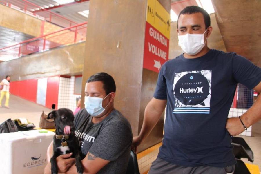 Casal gay acusado de usar cachorrinho para aplicar golpes em outros Estados teria vindo para Rondônia