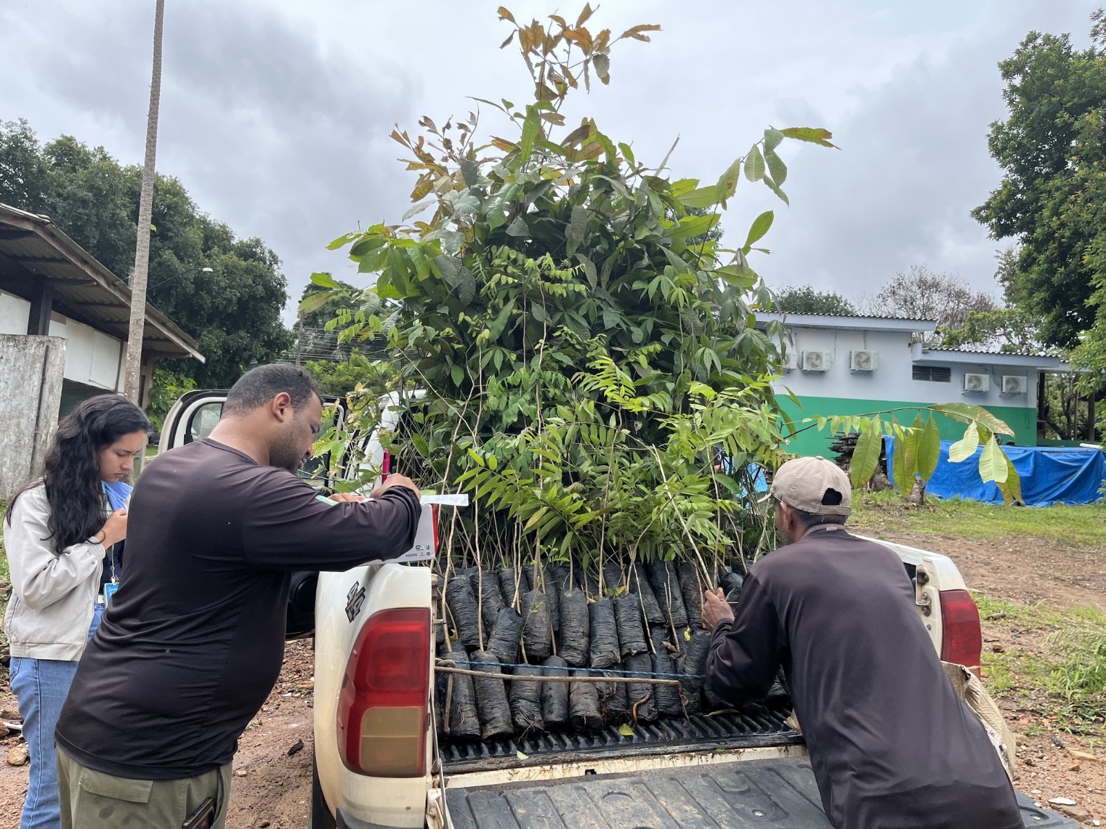 Energisa doa mudas para Sedam