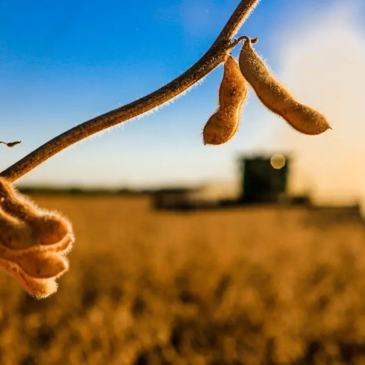 Onda de falências e recuperações judiciais deve ter novo recorde em 2026