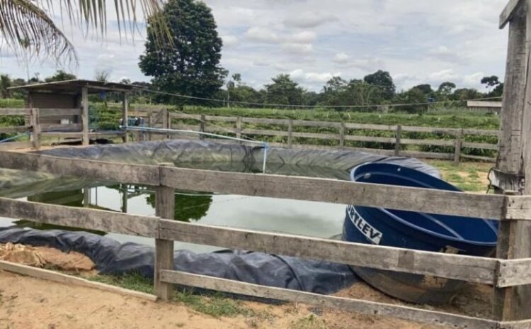 Corpo é encontrado após proprietário esvaziar represa na zona rural