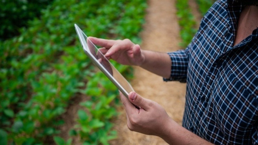 Setor agropecuário puxa renda e reduz desemprego no país