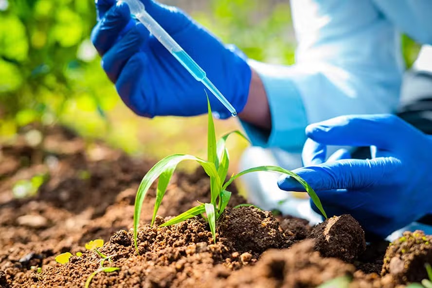 Brasil registra 162 bioinsumos em 2025, número recorde no país