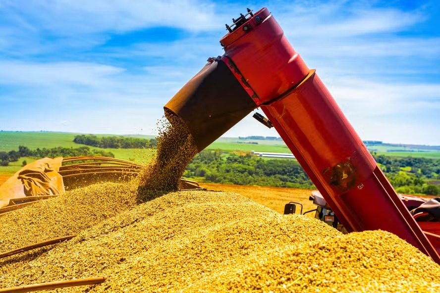 Ministério avalia que soja brasileira seguirá competitiva no mercado global