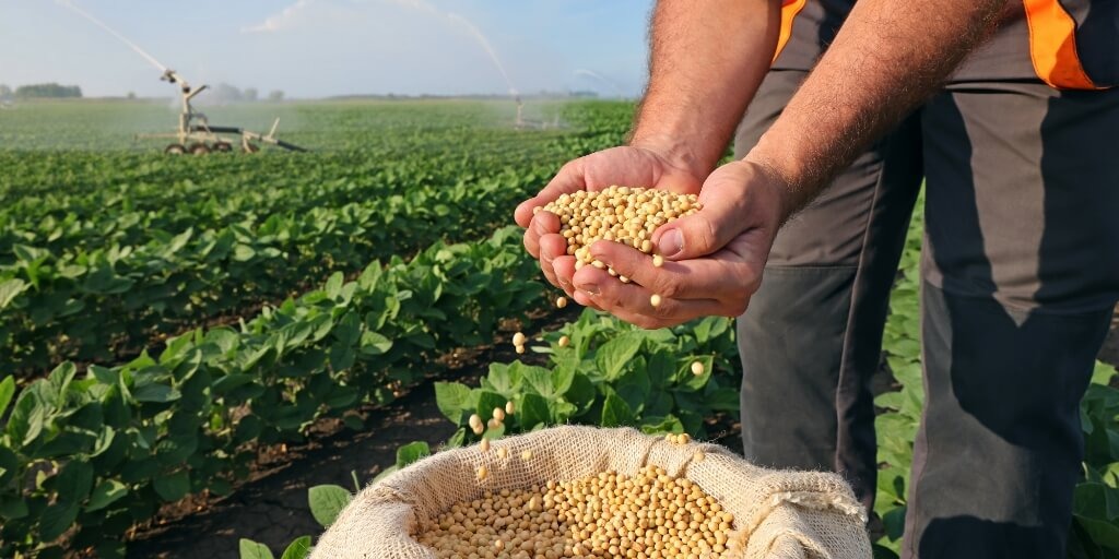 No Brasil, prêmios positivos surpreendem e compensam parte da pressão do dólar nos preços da soja