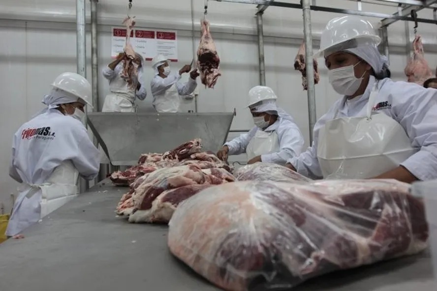 Setor de carne bovina pode cortar produção após cota da China