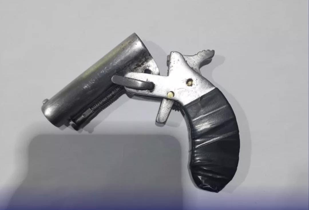 Ação policial resulta em apreensão de arma, drogas e animal