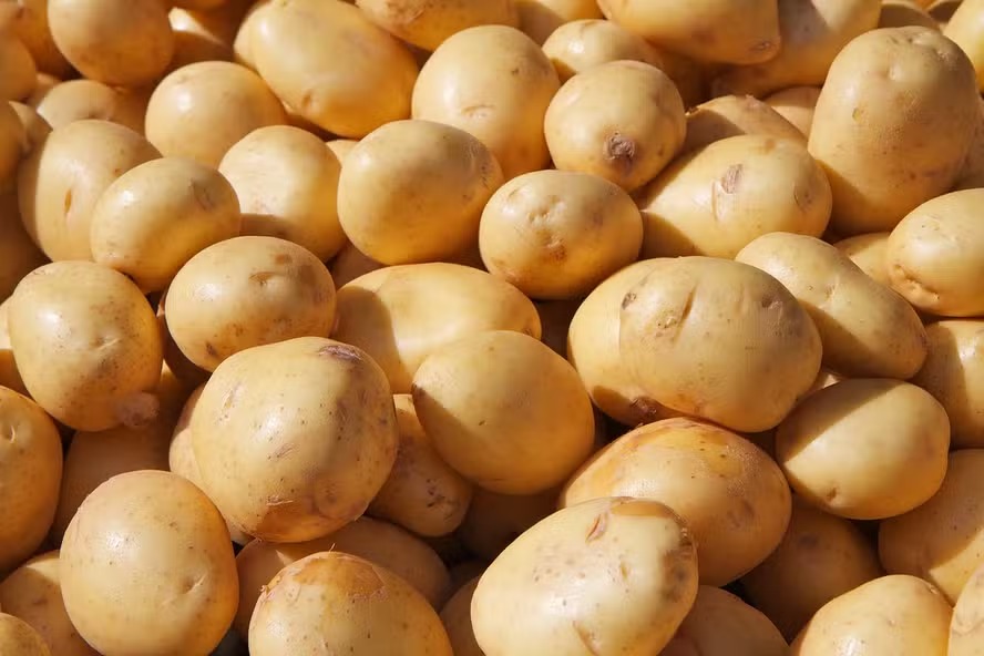 Batata fica 23,5% mais cara e lidera alta nos preços de hortaliças em dezembro