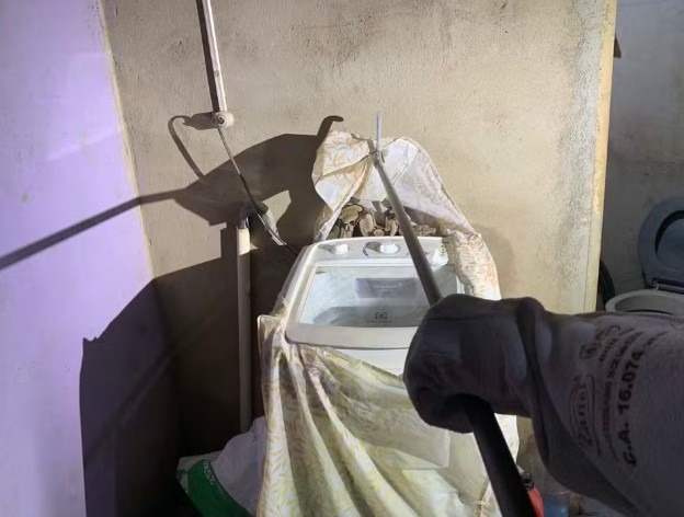 Surpresa: cobra aparece em máquina de lavar no interior
