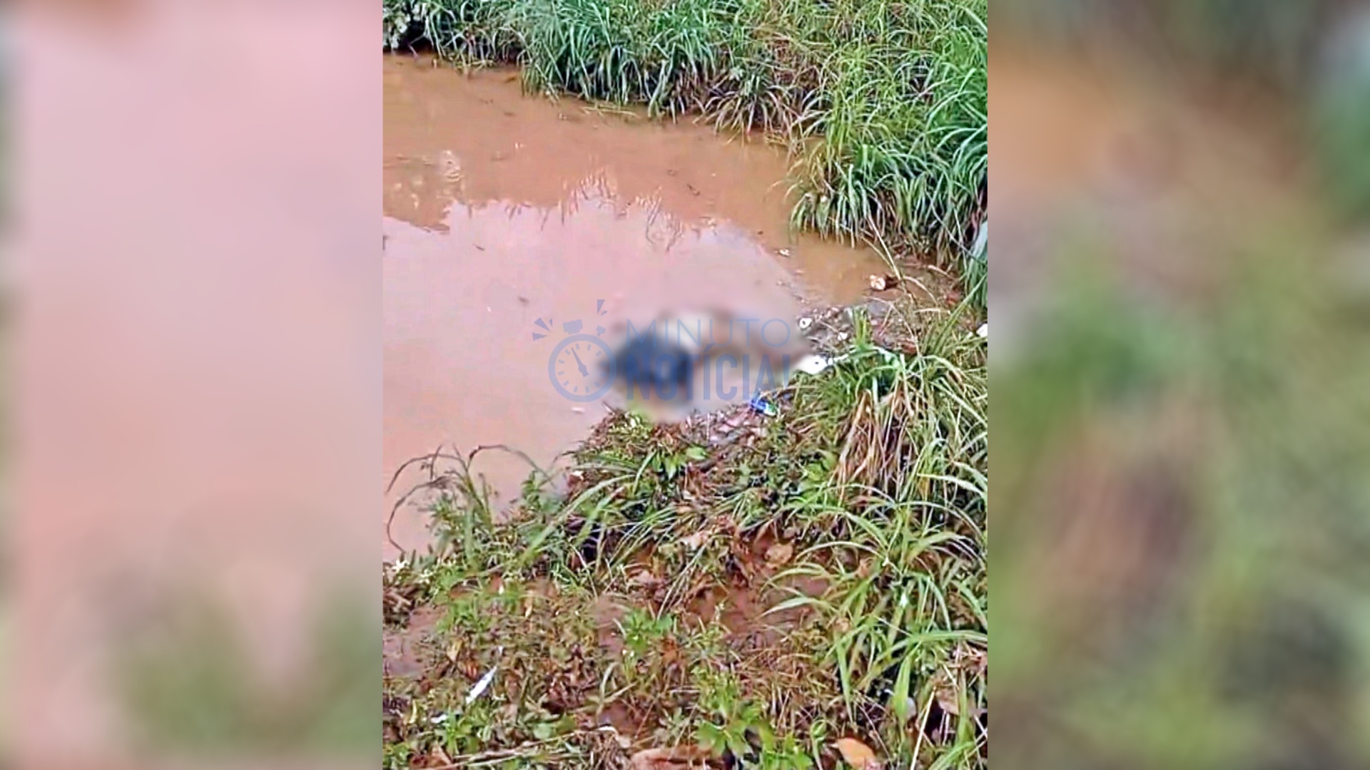 Impasse e desumanidade na remoção de cadáver em Jaru