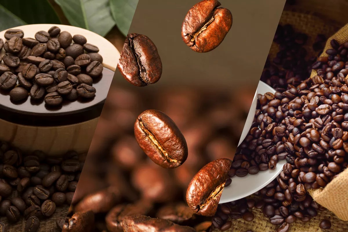 Preço do café cai novamente com melhor oferta brasileira