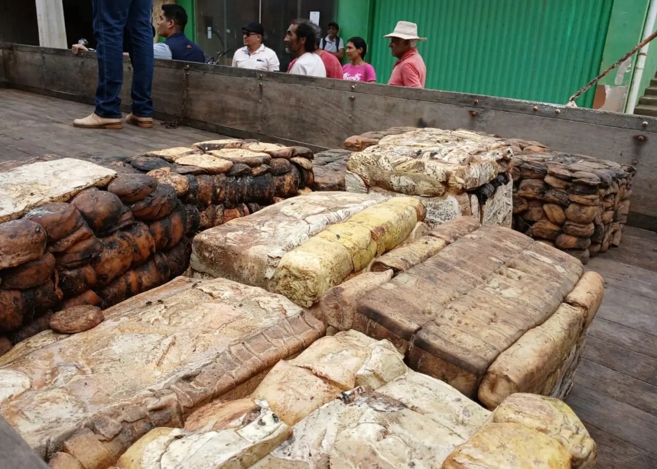 Venda de borracha impulsiona economia sustentável em Rondônia