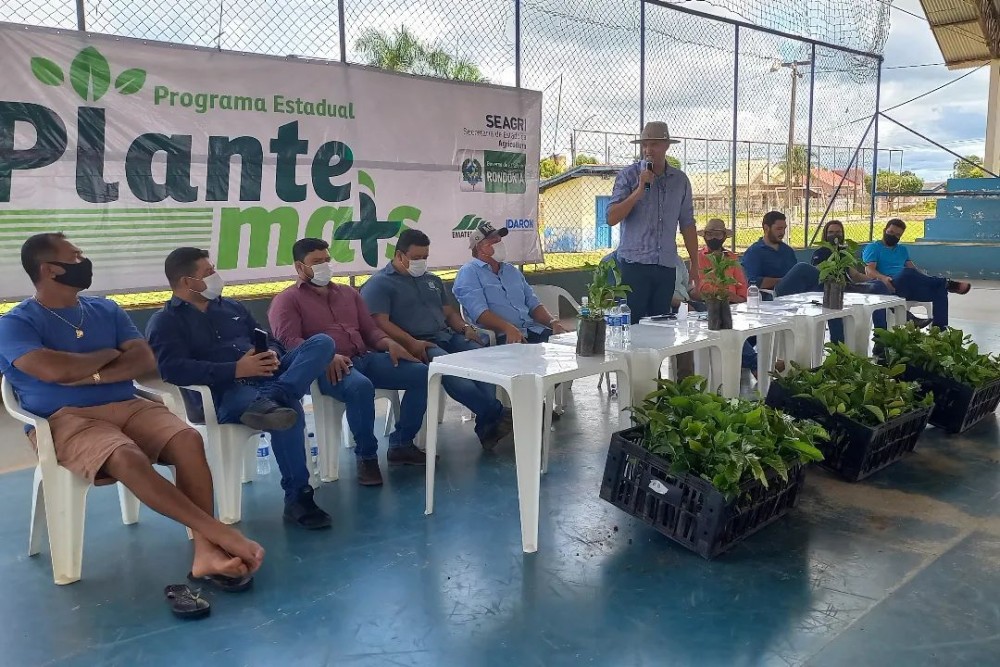 Milhares de mudas de Café Clonal, são entregues em Alvorada do Oeste, RO
