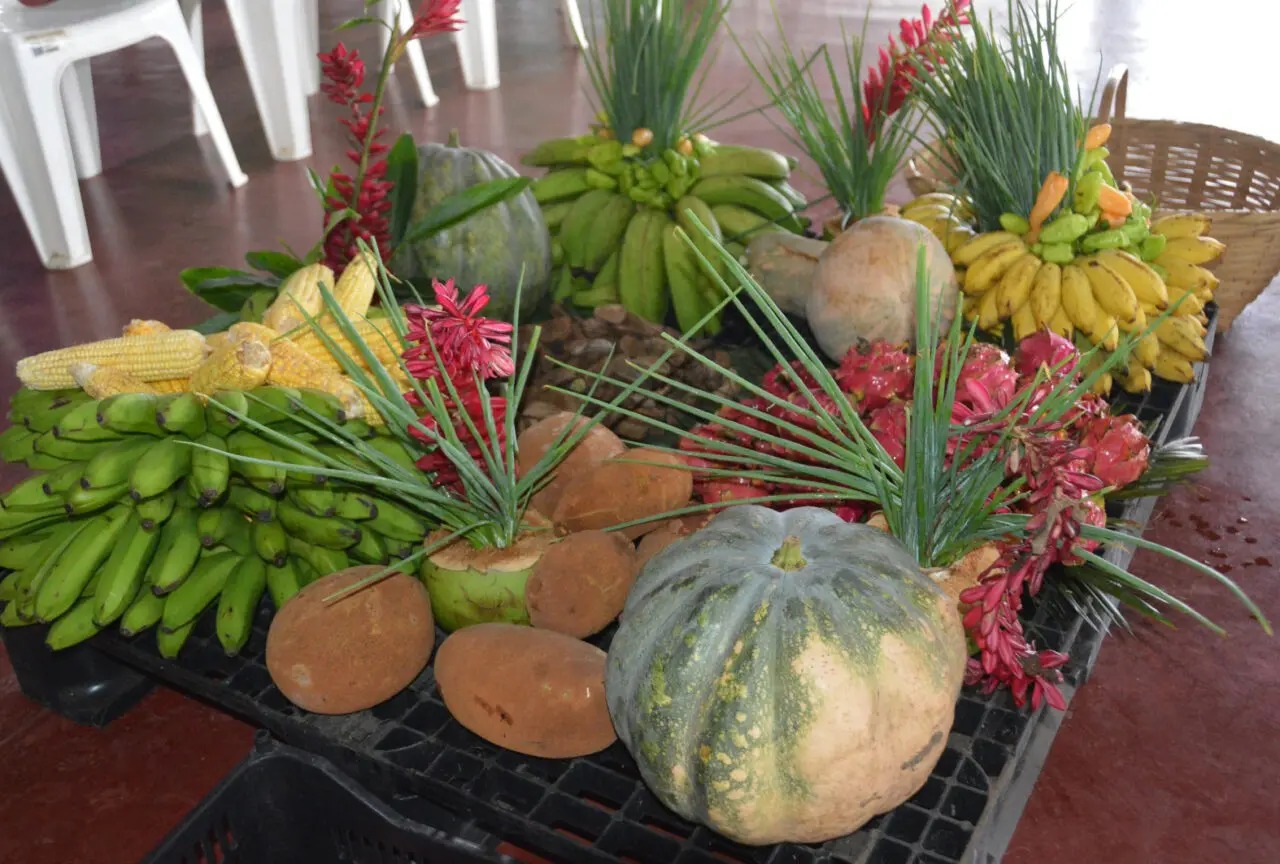 Novo edital prevê compra de produtos da agricultura familiar