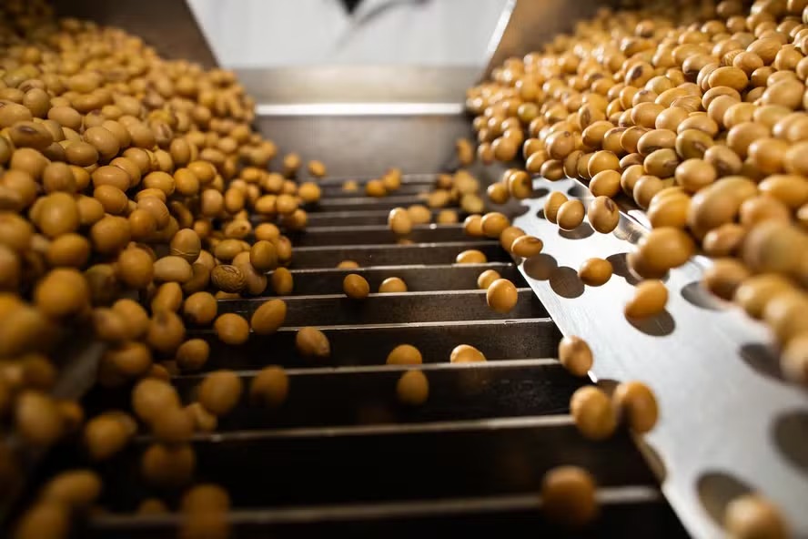 Mercado da soja tem preços maiores e vendas lentas
