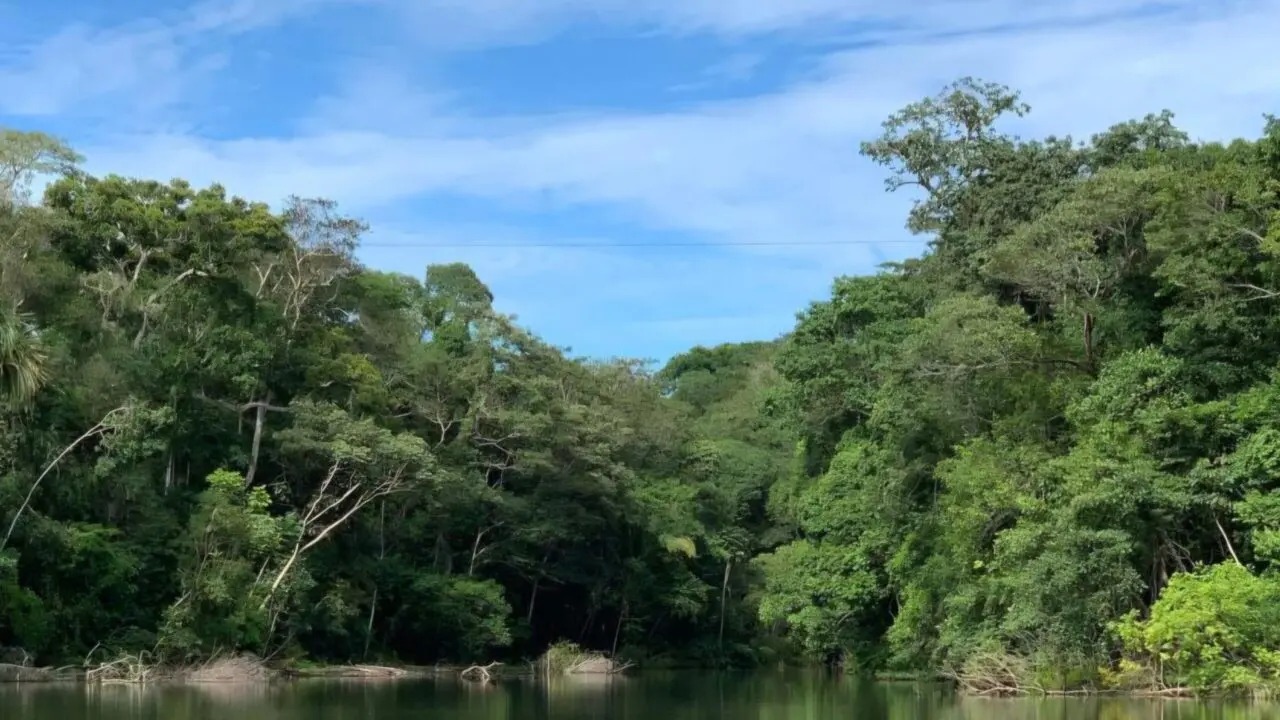 Estado disponibiliza sistema para pedido ambiental