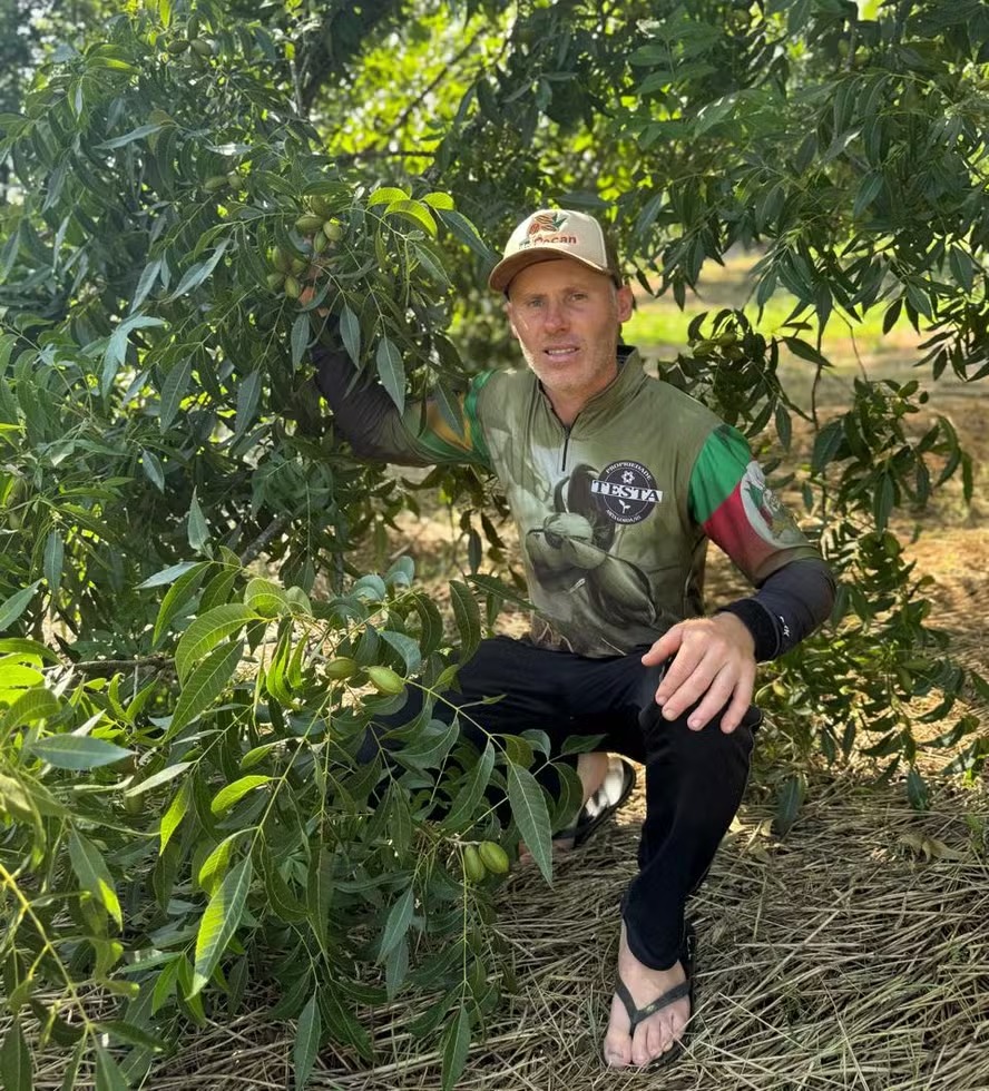 Condições climáticas elevam expectativas de produção