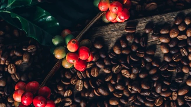 Mercado registra forte queda do café nesta terça