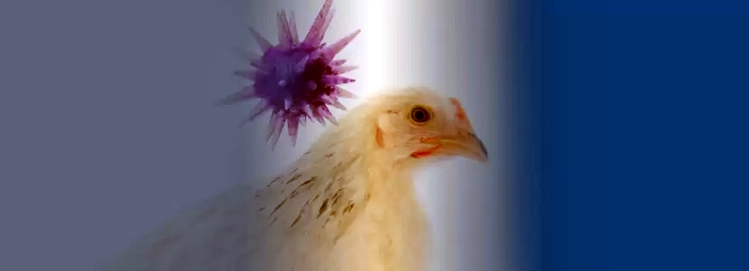 Agricultura, atuação e autuação da polícia e até fofoca; tudo aqui: acesse O Minuto Notícia