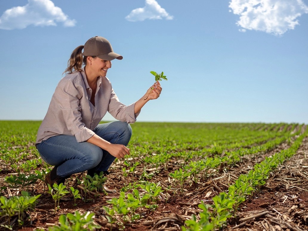 Bancos precisam manter juros de 12% no crédito rural