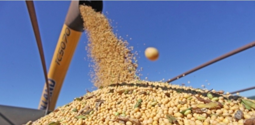 Safra de grãos 2025/26 pode atingir 353,4 milhões de toneladas